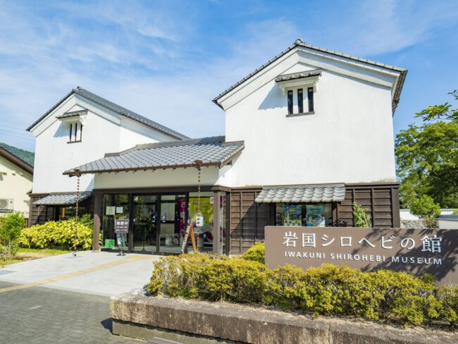 岩国シロヘビの館