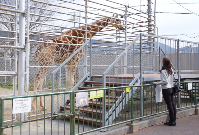 周南市徳山動物園
