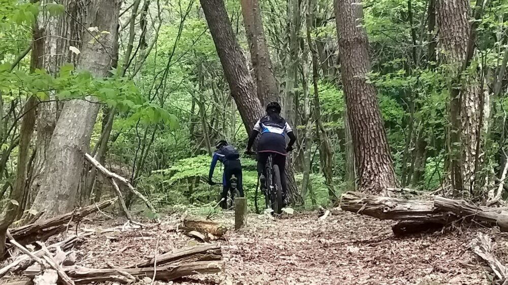 コテージ　せせら