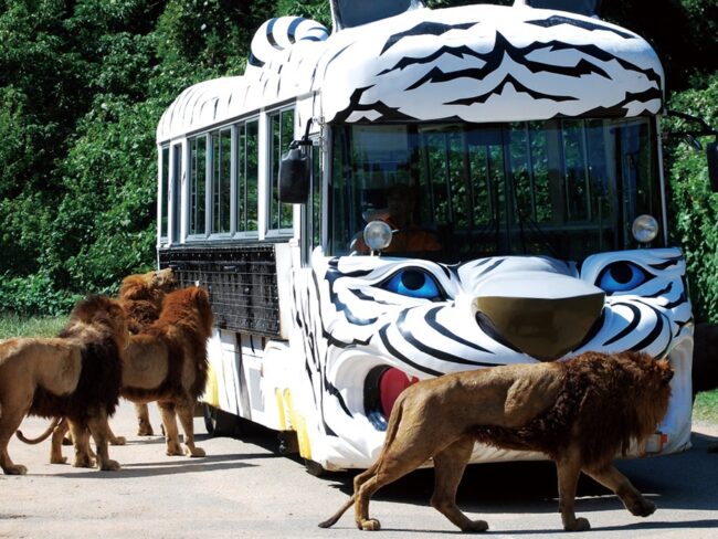 秋吉台自然動物公園サファリランド