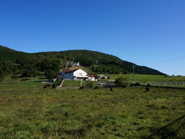 らかん高原スカイパーク