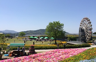 やまぐちフラワーランド