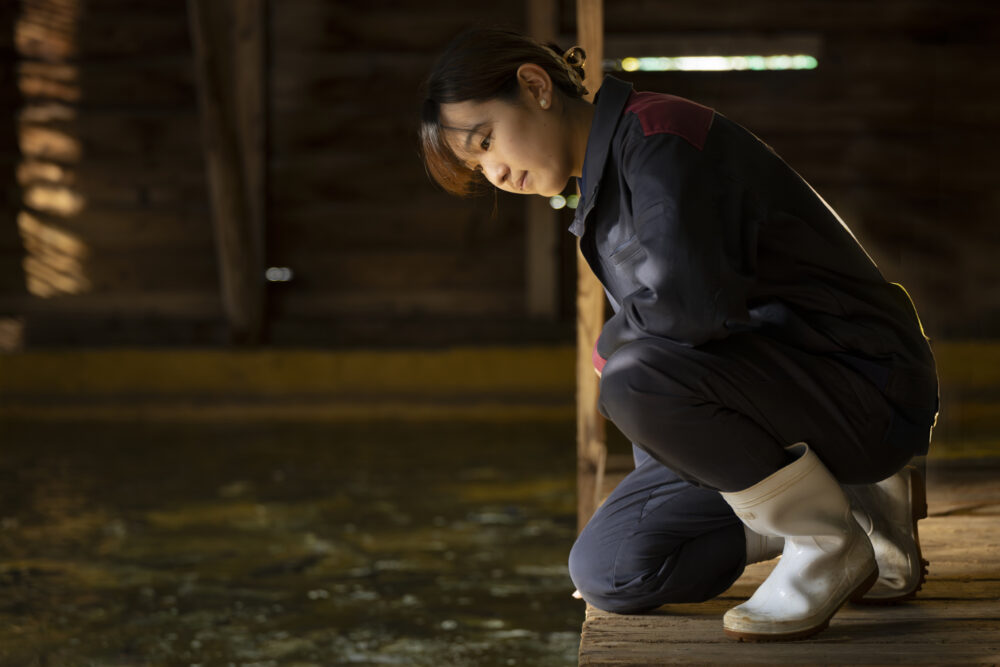 プログラムの画像