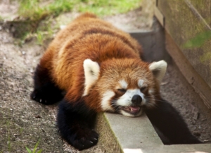 周南市徳山動物園