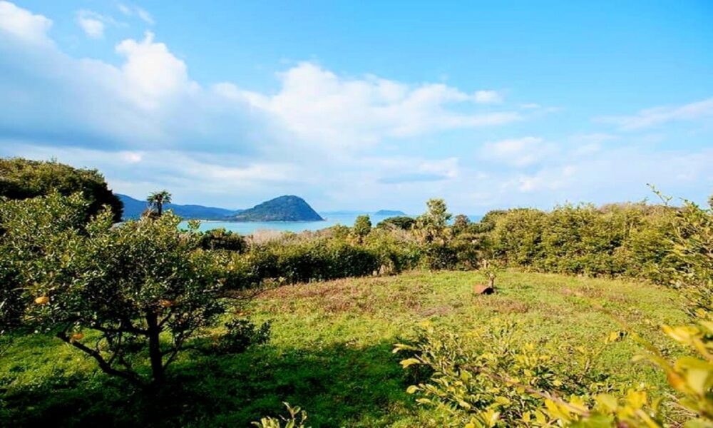 プログラムの画像