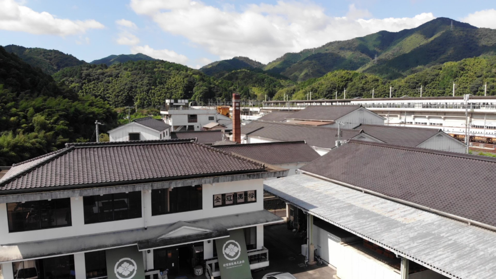 プログラムの画像